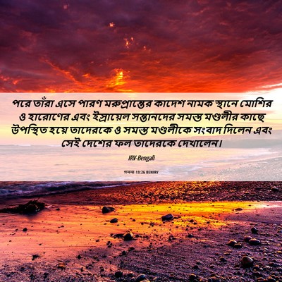 Picture 06 - গননা 13:26 BENIRV - পরে তাঁরা এসে পারণ - Bible Verse Picture