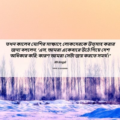 Picture 06 - গননা 13:30 BENIRV - তখন কালেব মোশির - Bible Verse Picture