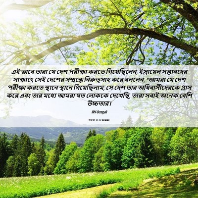 Picture 06 - গননা 13:32 BENIRV - এই ভাবে তারা যে দেশ - Bible Verse Picture