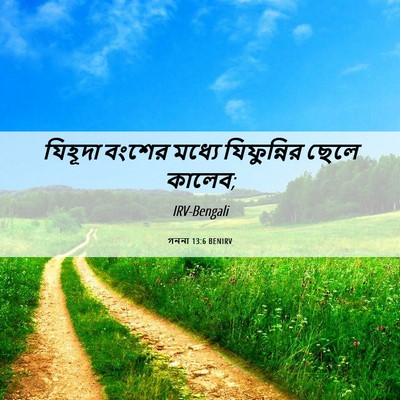 Picture 06 - গননা 13:6 BENIRV - যিহূদা বংশের - Bible Verse Picture