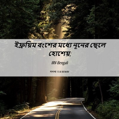 Picture 06 - গননা 13:8 BENIRV - ইফ্রয়িম বংশের - Bible Verse Picture