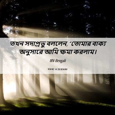 Picture 06 - গননা 14:20 BENIRV - তখন সদাপ্রভু - Bible Verse Picture