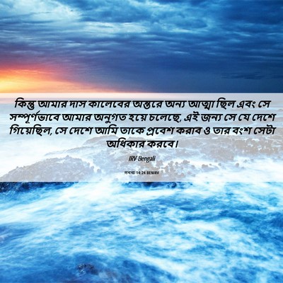 Picture 06 - গননা 14:24 BENIRV - কিন্তু আমার দাস - Bible Verse Picture