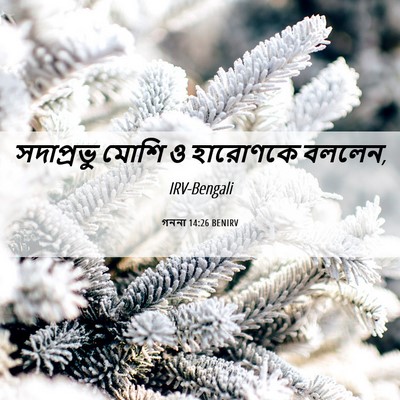 Picture 06 - গননা 14:26 BENIRV - সদাপ্রভু মোশি ও - Bible Verse Picture