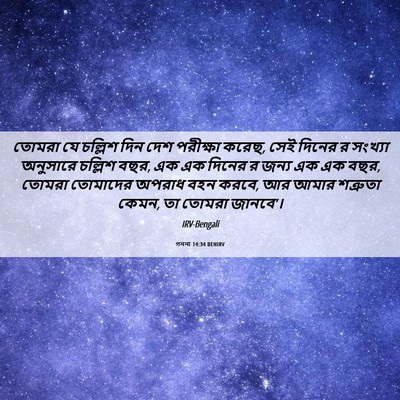 Picture 06 - গননা 14:34 BENIRV - তোমরা যে চল্লিশ - Bible Verse Picture