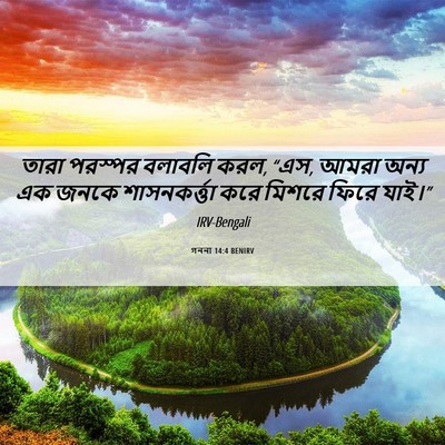 Picture 06 - গননা 14:4 BENIRV - তারা পরস্পর - Bible Verse Picture