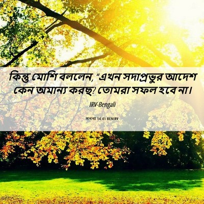 Picture 06 - গননা 14:41 BENIRV - কিন্তু মোশি বললেন, - Bible Verse Picture