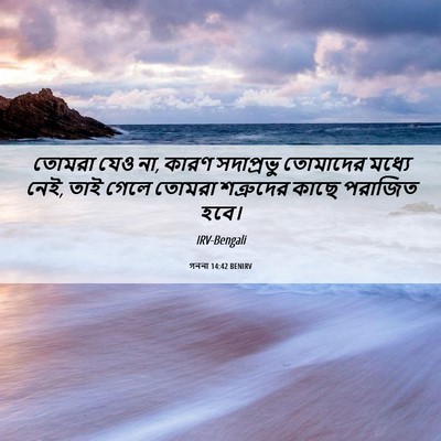 Picture 06 - গননা 14:42 BENIRV - তোমরা যেও না, কারণ - Bible Verse Picture