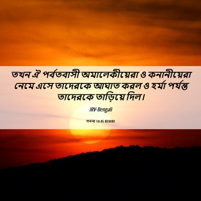 Picture 06 - গননা 14:45 BENIRV - তখন ঐ পর্বতবাসী - Bible Verse Picture