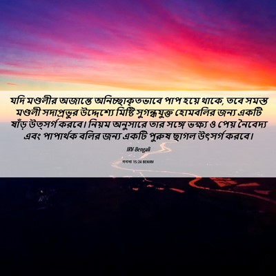 Picture 06 - গননা 15:24 BENIRV - যদি মণ্ডলীর - Bible Verse Picture