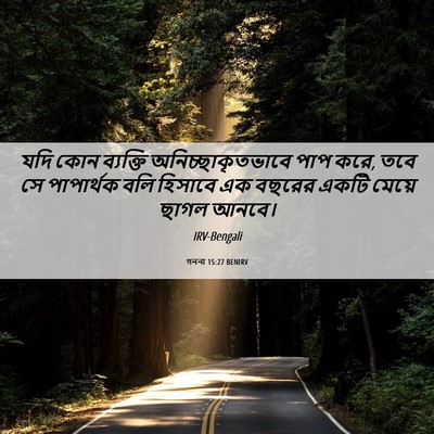 Picture 06 - গননা 15:27 BENIRV - যদি কোন ব্যক্তি - Bible Verse Picture