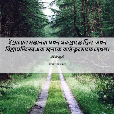 Picture 06 - গননা 15:32 BENIRV - ইস্রায়েল - Bible Verse Picture