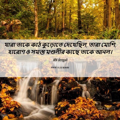 Picture 06 - গননা 15:33 BENIRV - যারা তাকে কাঠ - Bible Verse Picture