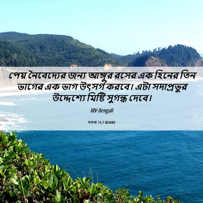 Picture 06 - গননা 15:7 BENIRV - পেয় নৈবেদ্যের - Bible Verse Picture