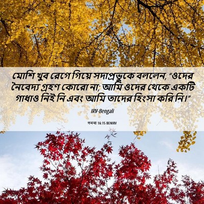 Picture 06 - গননা 16:15 BENIRV - মোশি খুব রেগে - Bible Verse Picture