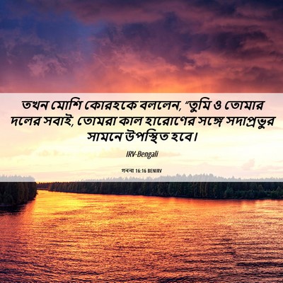 Picture 06 - গননা 16:16 BENIRV - তখন মোশি কোরহকে - Bible Verse Picture