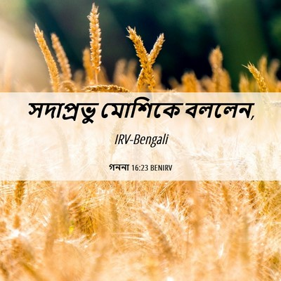 Picture 06 - গননা 16:23 BENIRV - সদাপ্রভু মোশিকে - Bible Verse Picture