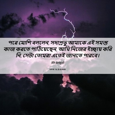 Picture 06 - গননা 16:28 BENIRV - পরে মোশি বললেন, - Bible Verse Picture