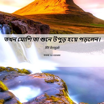Picture 06 - গননা 16:4 BENIRV - তখন মোশি তা শুনে - Bible Verse Picture