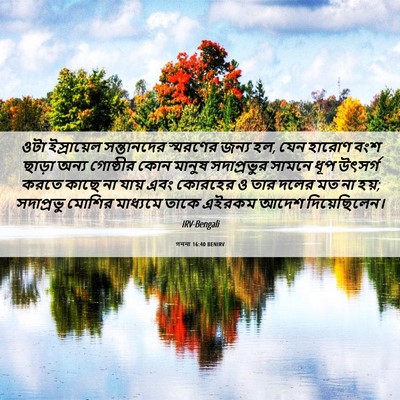 Picture 06 - গননা 16:40 BENIRV - ওটা ইস্রায়েল - Bible Verse Picture