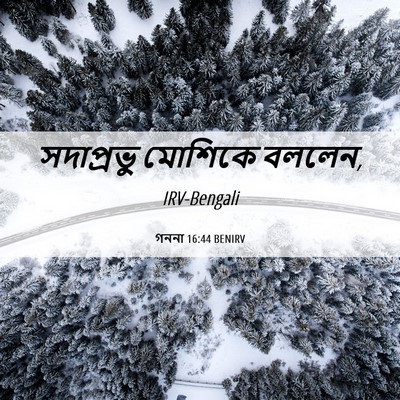 Picture 06 - গননা 16:44 BENIRV - সদাপ্রভু মোশিকে - Bible Verse Picture
