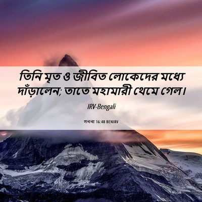 Picture 06 - গননা 16:48 BENIRV - তিনি মৃত ও জীবিত - Bible Verse Picture