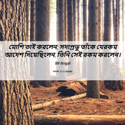 Picture 06 - গননা 17:11 BENIRV - মোশি তাই করলেন; - Bible Verse Picture