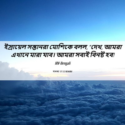 Picture 06 - গননা 17:12 BENIRV - ইস্রায়েল - Bible Verse Picture