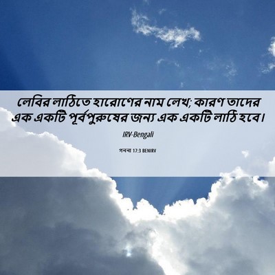 Picture 06 - গননা 17:3 BENIRV - লেবির লাঠিতে - Bible Verse Picture