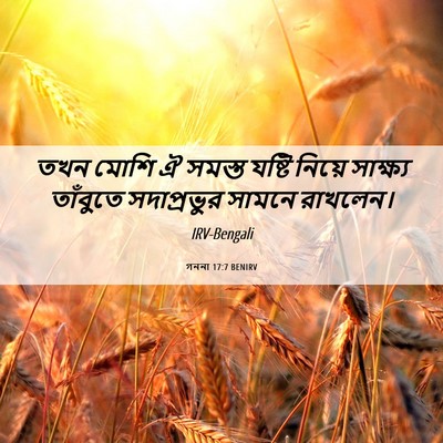 Picture 06 - গননা 17:7 BENIRV - তখন মোশি ঐ সমস্ত - Bible Verse Picture