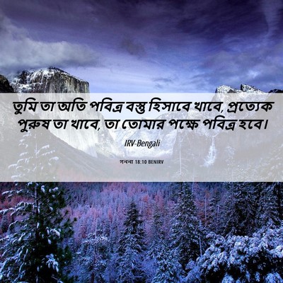 Picture 06 - গননা 18:10 BENIRV - তুমি তা অতি পবিত্র - Bible Verse Picture