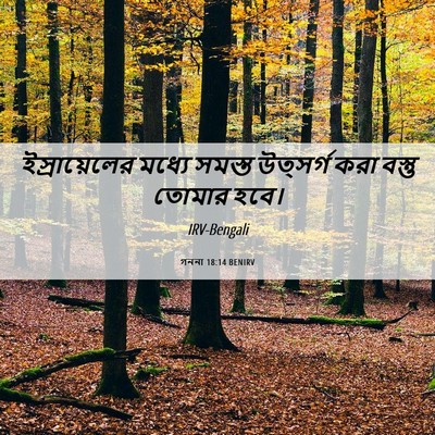 Picture 06 - গননা 18:14 BENIRV - ইস্রায়েলের মধ্যে - Bible Verse Picture