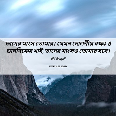 Picture 06 - গননা 18:18 BENIRV - তাদের মাংস তোমার। - Bible Verse Picture
