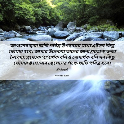 Picture 06 - গননা 18:9 BENIRV - আগুনের দ্বারা অতি - Bible Verse Picture