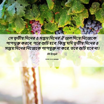 Picture 06 - গননা 19:12 BENIRV - সে তৃতীয় দিনের ও - Bible Verse Picture