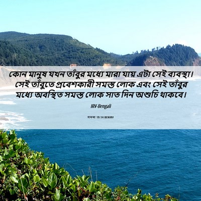 Picture 06 - গননা 19:14 BENIRV - কোন মানুষ যখন - Bible Verse Picture