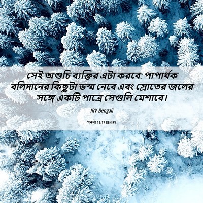 Picture 06 - গননা 19:17 BENIRV - সেই অশুচি - Bible Verse Picture
