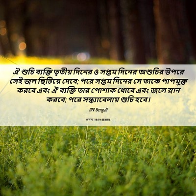 Picture 06 - গননা 19:19 BENIRV - ঐ শুচি ব্যক্তি - Bible Verse Picture
