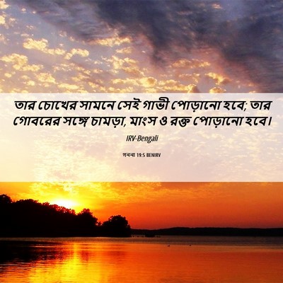 Picture 06 - গননা 19:5 BENIRV - তার চোখের সামনে - Bible Verse Picture