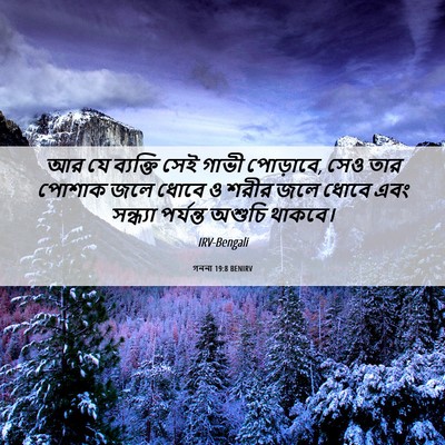 Picture 06 - গননা 19:8 BENIRV - আর যে ব্যক্তি সেই - Bible Verse Picture
