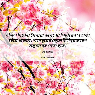 Picture 06 - গননা 2:10 BENIRV - দক্ষিণ দিকের - Bible Verse Picture