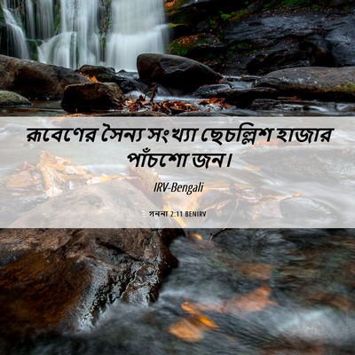 Picture 06 - গননা 2:11 BENIRV - রূবেণের সৈন্য - Bible Verse Picture
