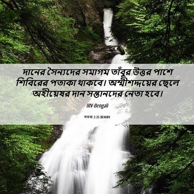 Picture 06 - গননা 2:25 BENIRV - দানের সৈন্যদের - Bible Verse Picture
