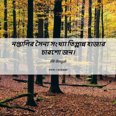 Picture 06 - গননা 2:30 BENIRV - নপ্তালির সৈন্য - Bible Verse Picture