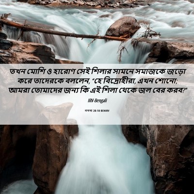 Picture 06 - গননা 20:10 BENIRV - তখন মোশি ও হারোণ - Bible Verse Picture