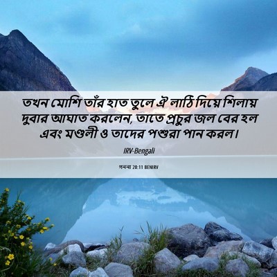 Picture 06 - গননা 20:11 BENIRV - তখন মোশি তাঁর হাত - Bible Verse Picture
