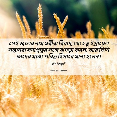 Picture 06 - গননা 20:13 BENIRV - সেই জলের নাম মরীবা - Bible Verse Picture