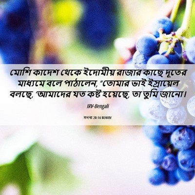 Picture 06 - গননা 20:14 BENIRV - মোশি কাদেশ থেকে - Bible Verse Picture