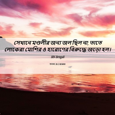 Picture 06 - গননা 20:2 BENIRV - সেখানে মণ্ডলীর - Bible Verse Picture
