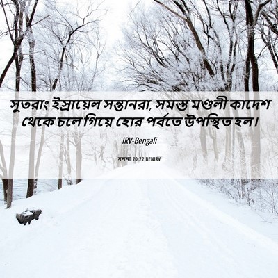 Picture 06 - গননা 20:22 BENIRV - সুতরাং ইস্রায়েল - Bible Verse Picture